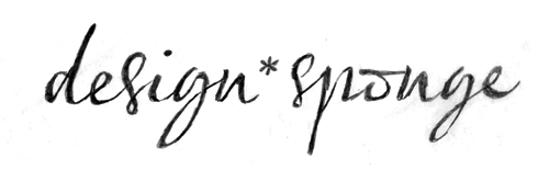 Design Sponge Logo