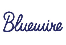 Bluewire Strategy Group